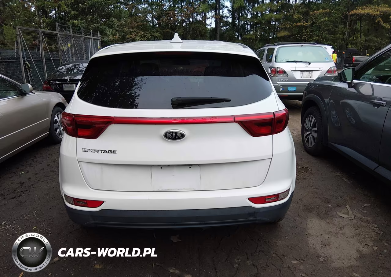 2019 Kia Sportage Lx VIN:KNDPMCAC7K7568981 - 16
