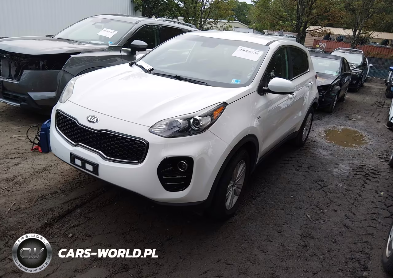 2019 Kia Sportage Lx VIN:KNDPMCAC7K7568981 - 2