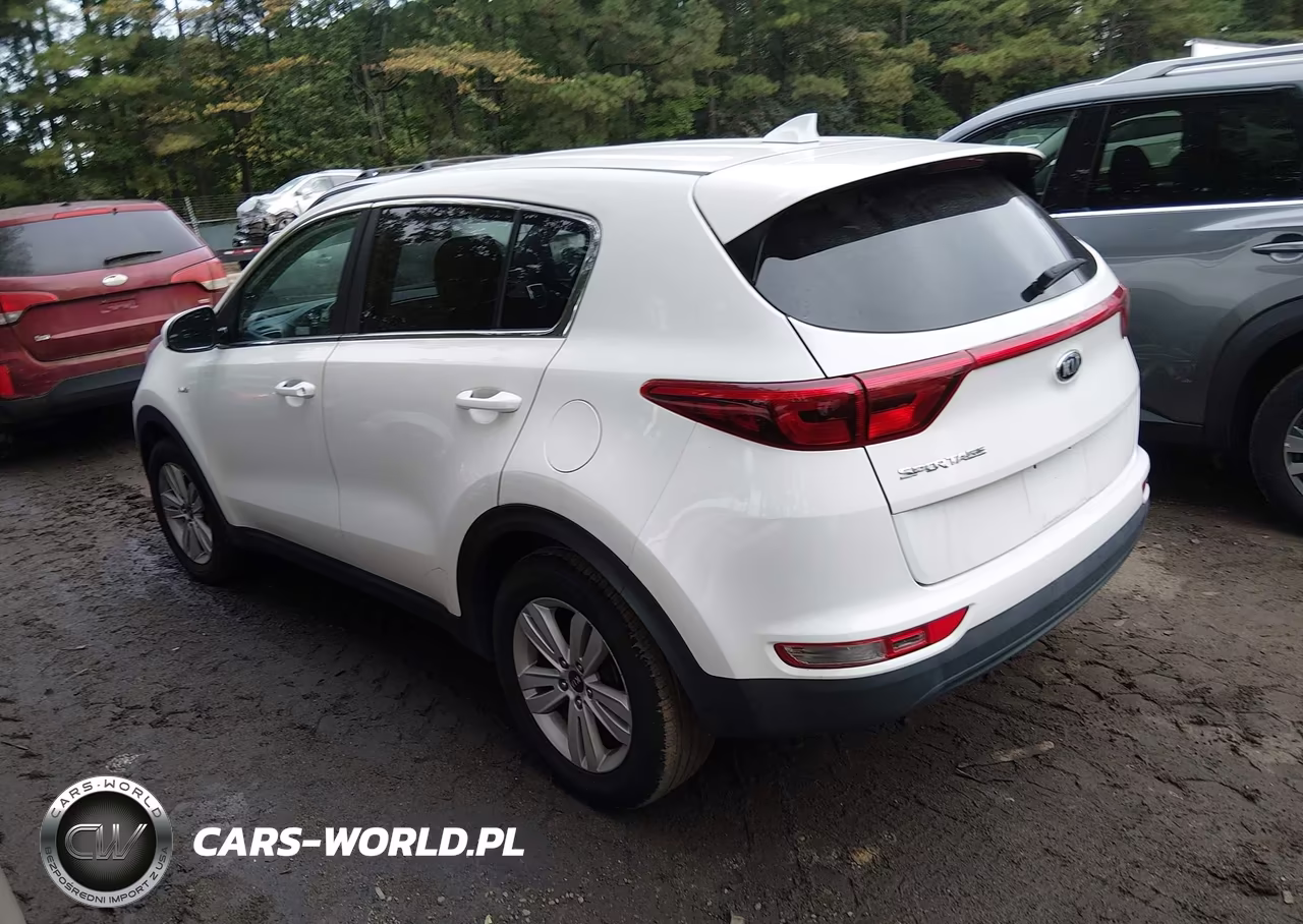 2019 Kia Sportage Lx VIN:KNDPMCAC7K7568981 - 3