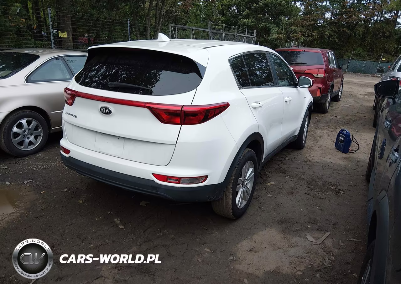 2019 Kia Sportage Lx VIN:KNDPMCAC7K7568981 - 4