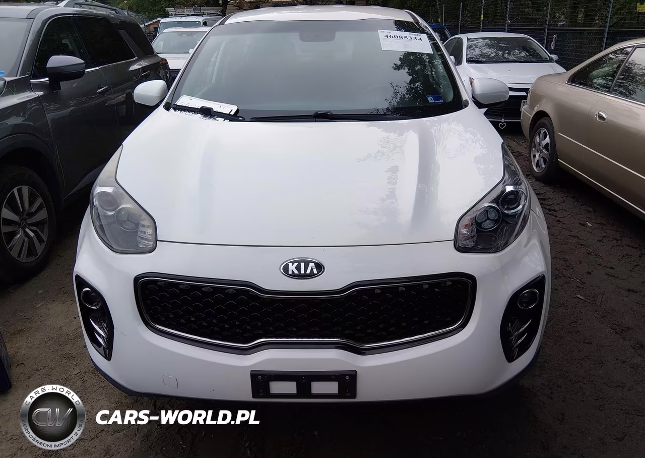 2019 Kia Sportage Lx VIN:KNDPMCAC7K7568981 - 6
