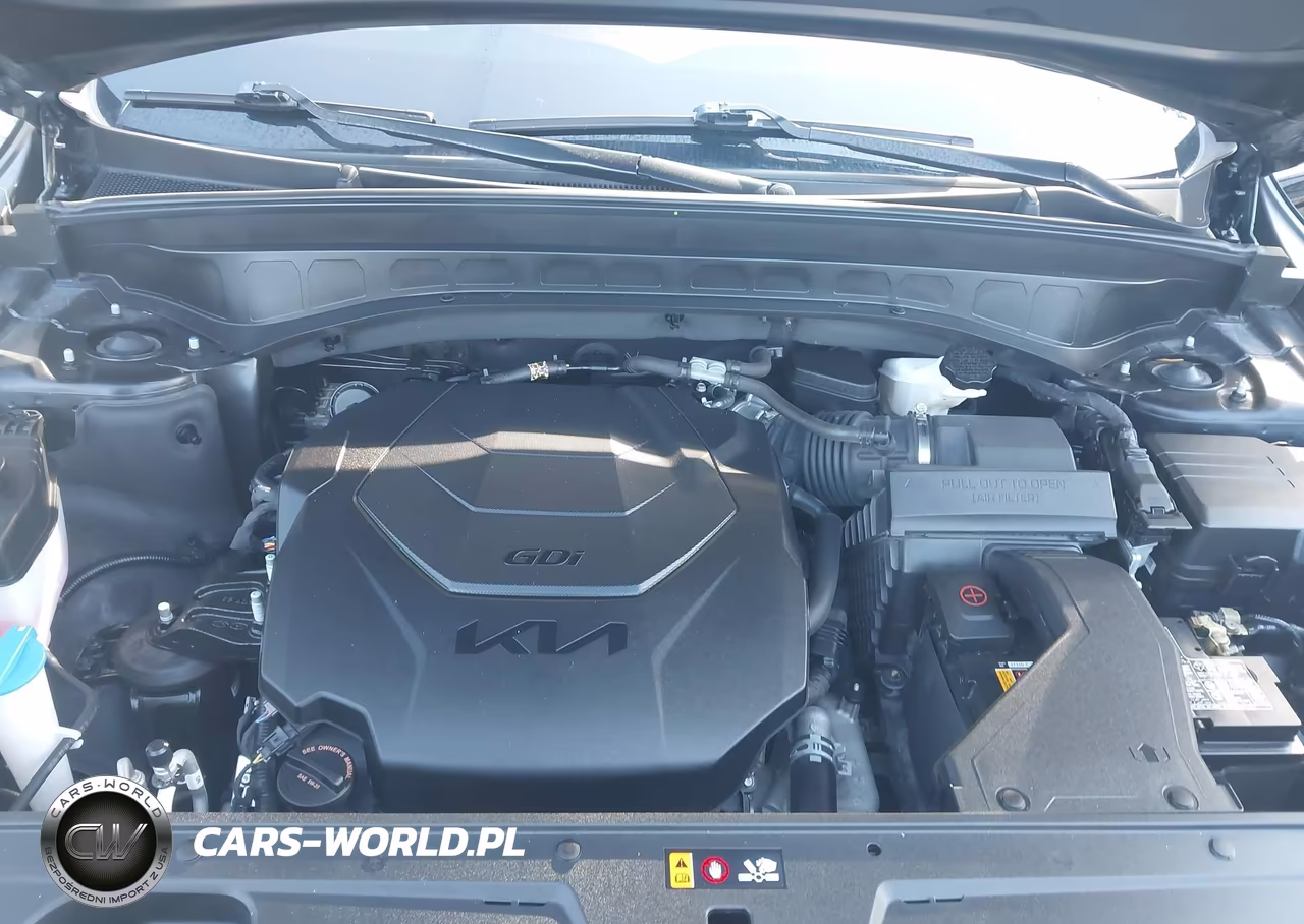 2023 Kia Telluride Sx VIN:5XYP54GCXPG377950 - 10