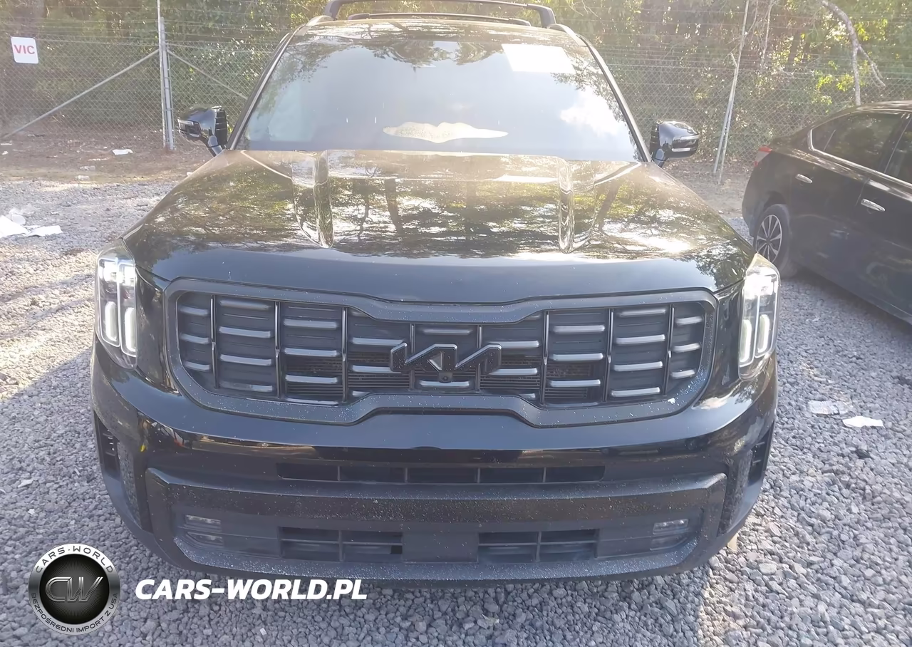 2023 Kia Telluride Sx VIN:5XYP54GCXPG377950 - 12