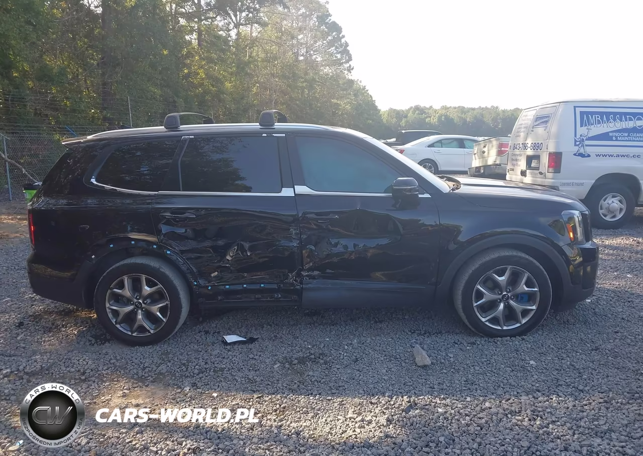 2023 Kia Telluride Sx VIN:5XYP54GCXPG377950 - 13
