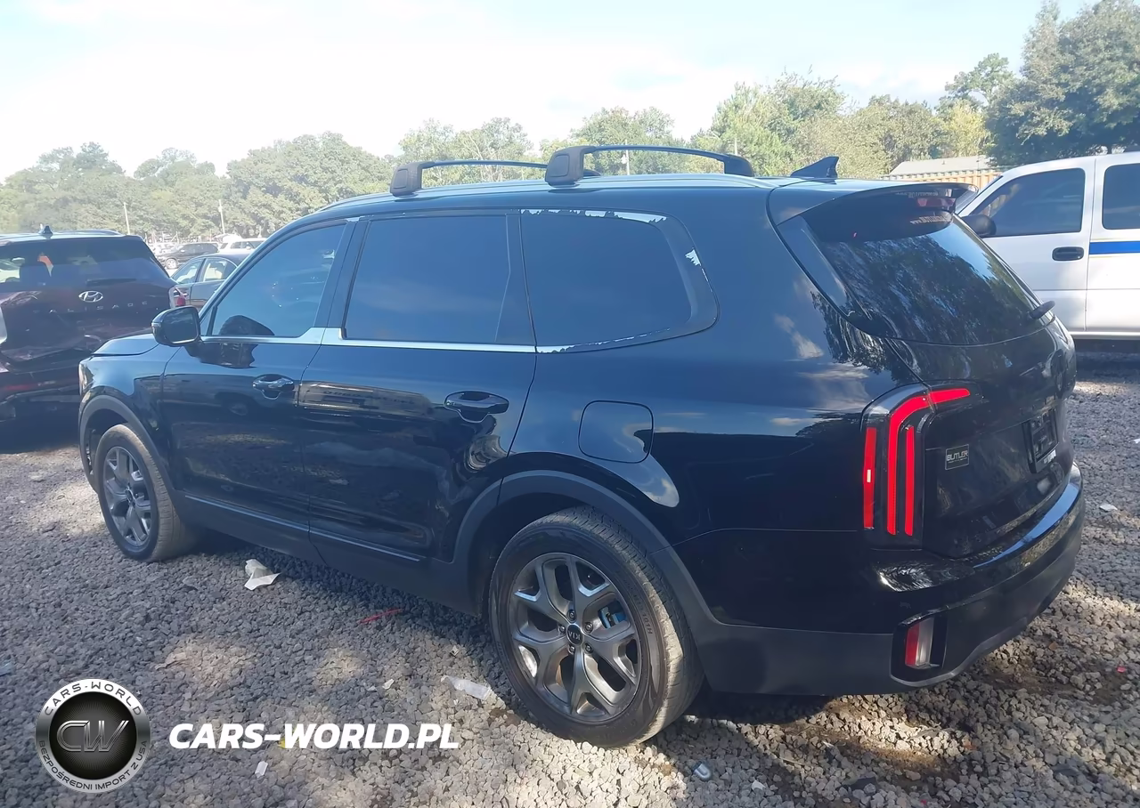2023 Kia Telluride Sx VIN:5XYP54GCXPG377950 - 14
