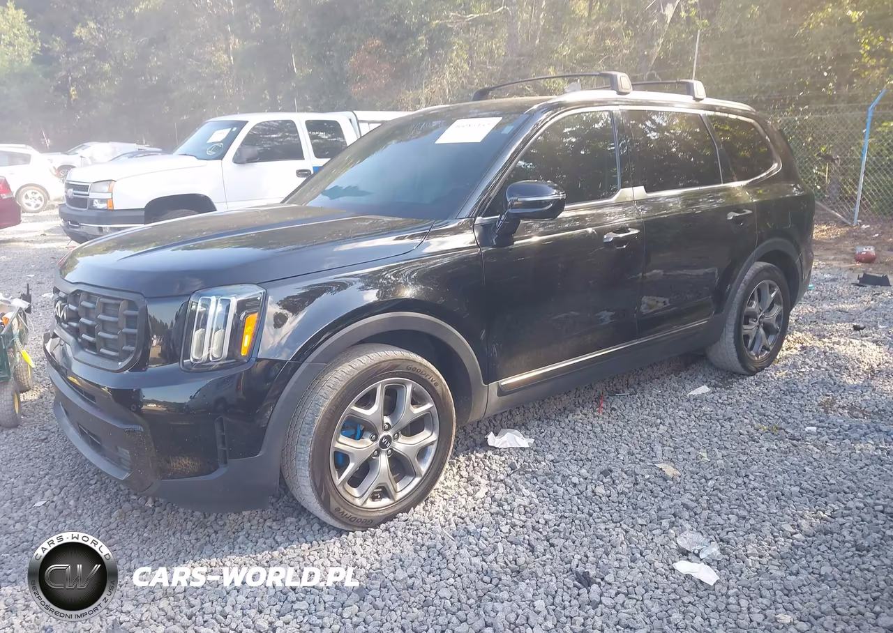 2023 Kia Telluride Sx VIN:5XYP54GCXPG377950 - 2