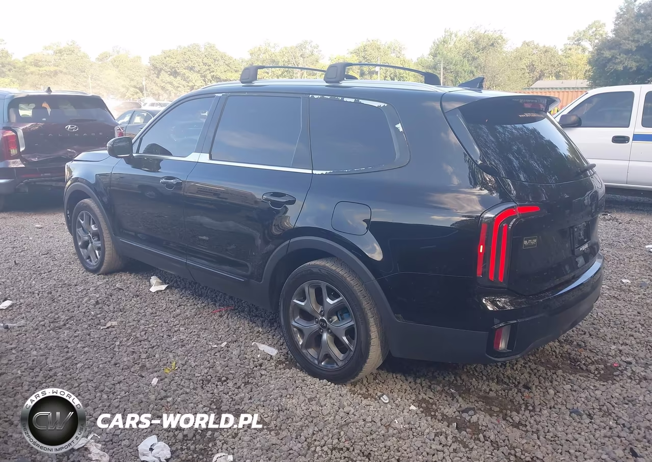 2023 Kia Telluride Sx VIN:5XYP54GCXPG377950 - 3