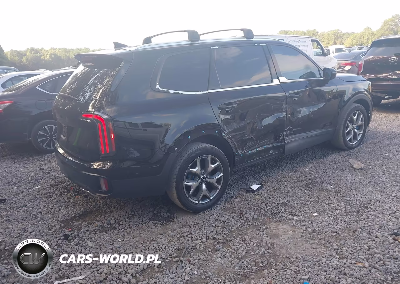2023 Kia Telluride Sx VIN:5XYP54GCXPG377950 - 4