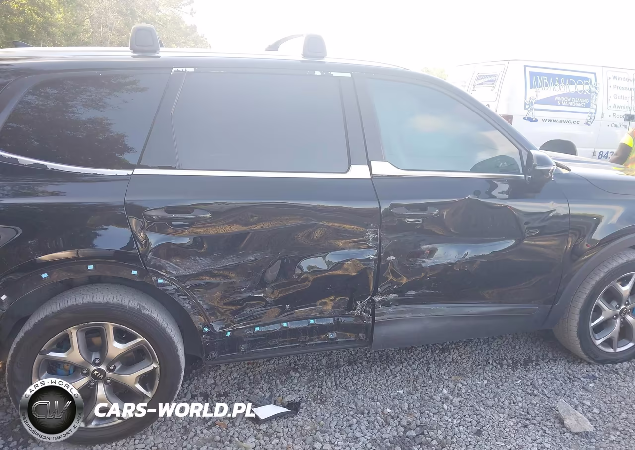 2023 Kia Telluride Sx VIN:5XYP54GCXPG377950 - 6