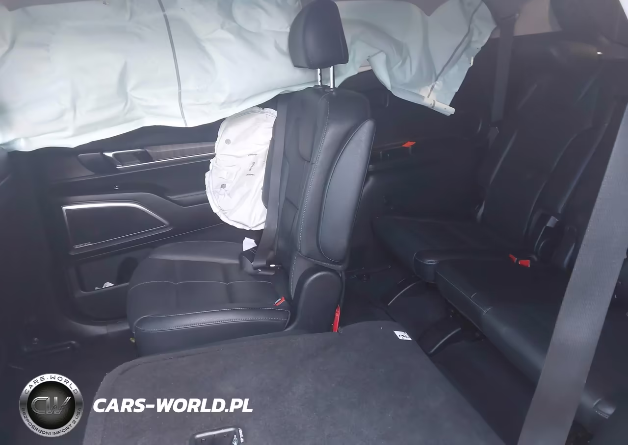 2023 Kia Telluride Sx VIN:5XYP54GCXPG377950 - 8