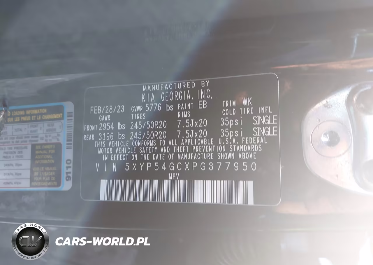 2023 Kia Telluride Sx VIN:5XYP54GCXPG377950 - 9
