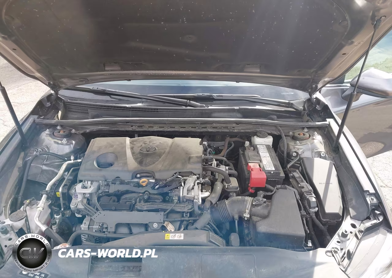 2019 Toyota Camry Se VIN:4T1B11HK8KU848409 - 10