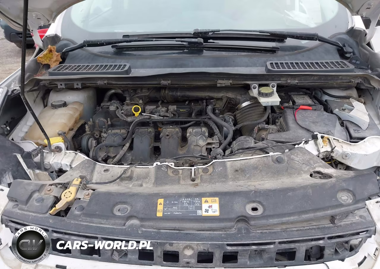 2013 Ford Escape Se VIN:1FMCU9G93DUB57915 - 10