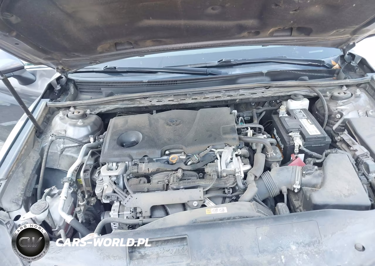 2020 Toyota Camry Le VIN:4T1C11AK3LU314105 - 10