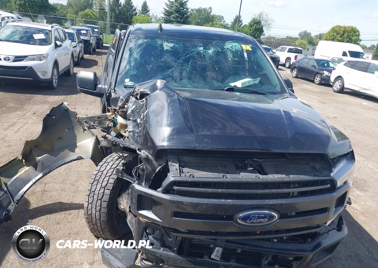 2020 Ford F-150 Xlt VIN:1FTEW1EPXLKF12566 - 12