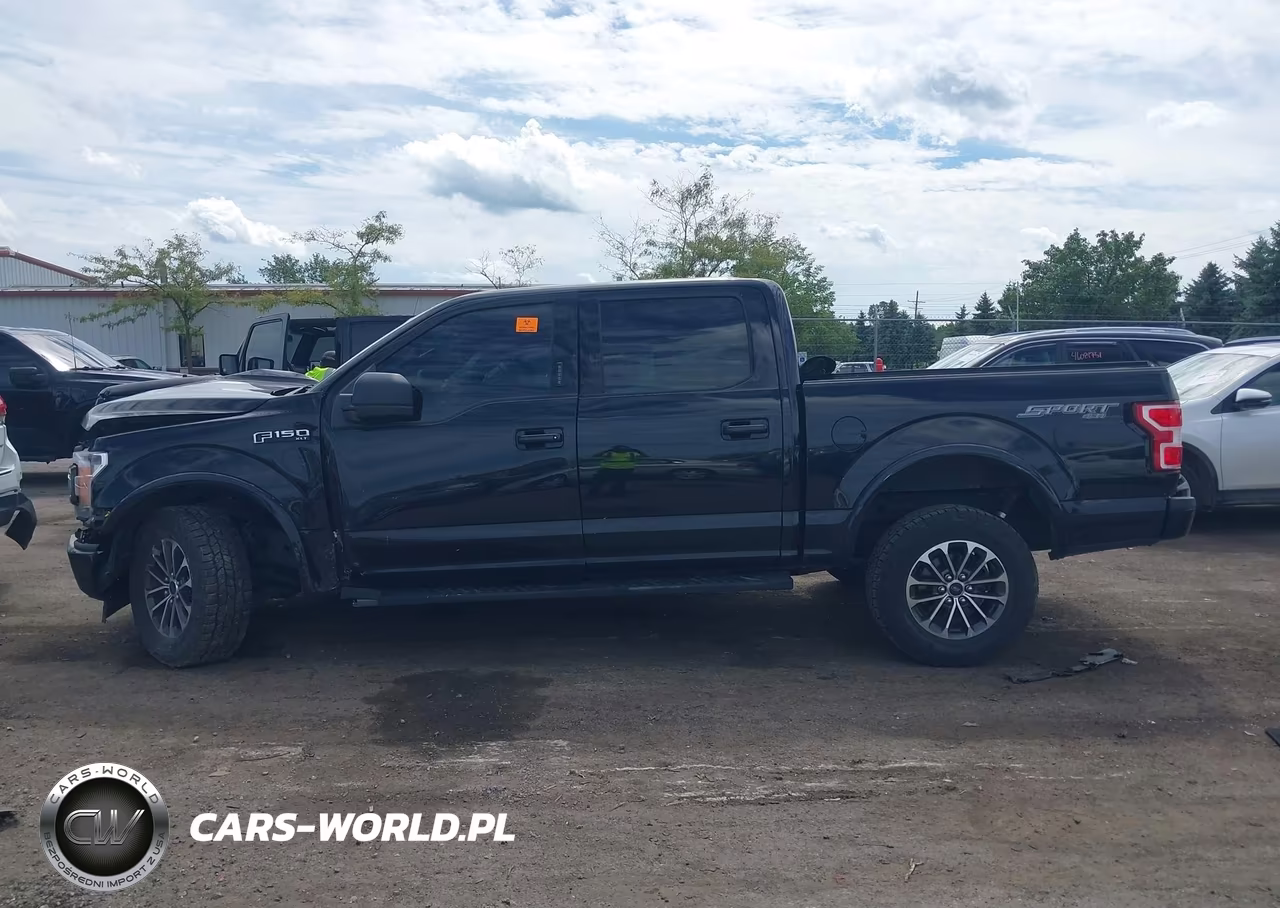 2020 Ford F-150 Xlt VIN:1FTEW1EPXLKF12566 - 14