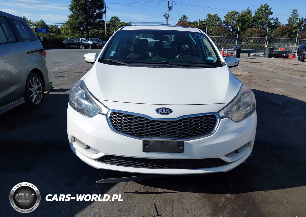 2014 Kia Forte Ex VIN:KNAFX4A84E5199997 - 12
