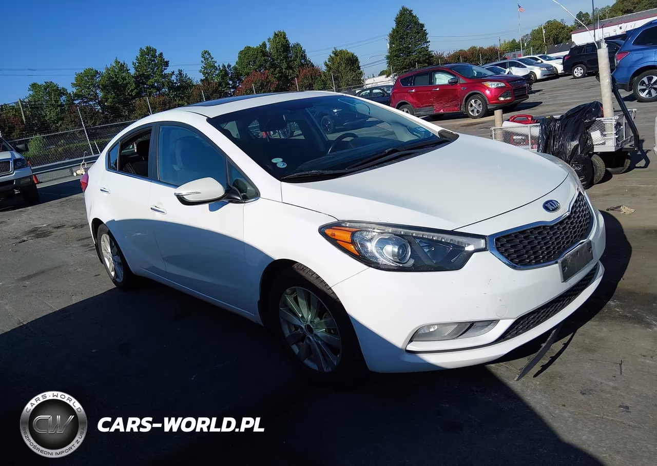 2014 Kia Forte Ex VIN:KNAFX4A84E5199997 - 13
