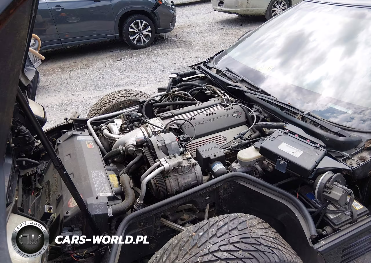 1992 Chevrolet Corvette VIN:1G1YY23P5N5118175 - 10
