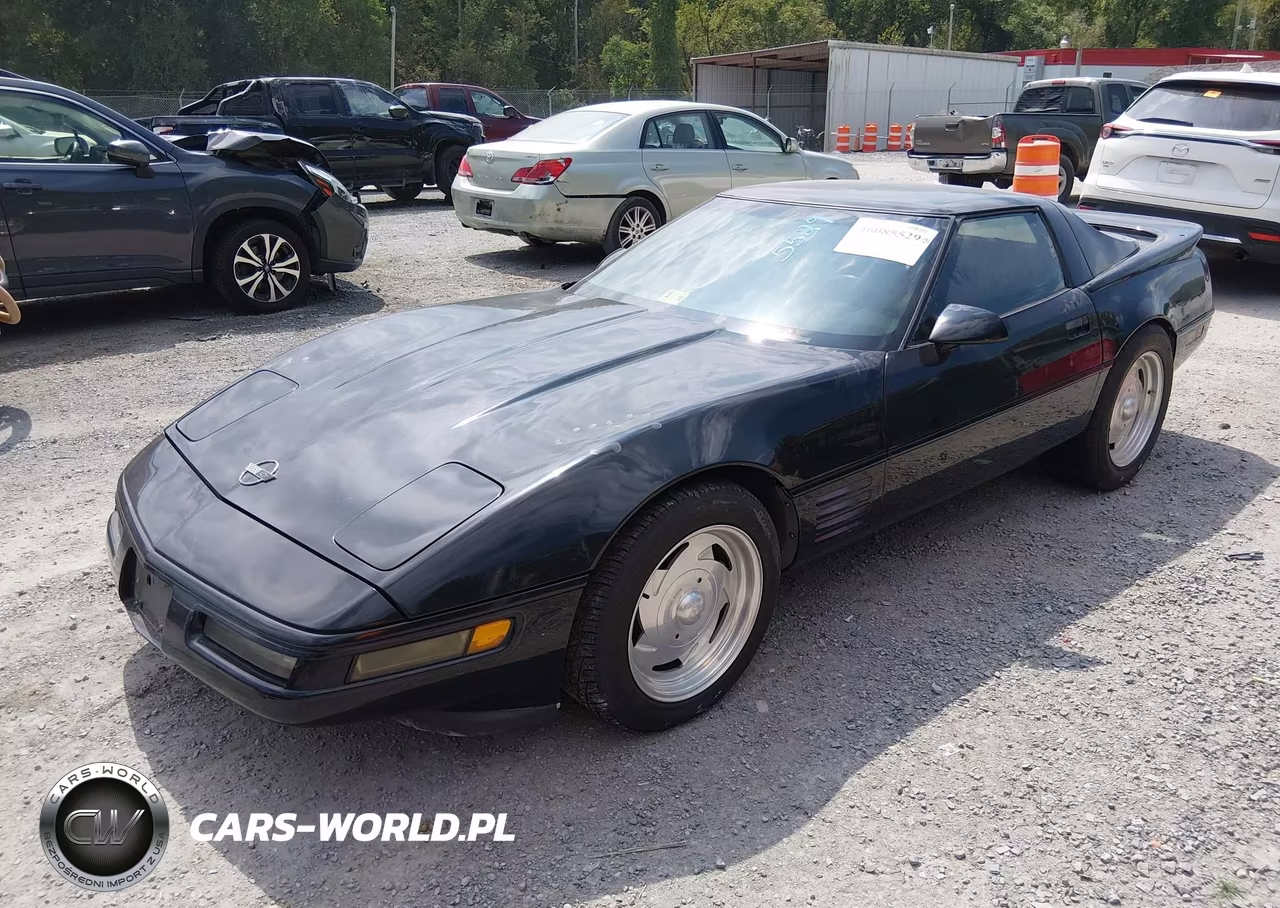1992 Chevrolet Corvette VIN:1G1YY23P5N5118175 - 2