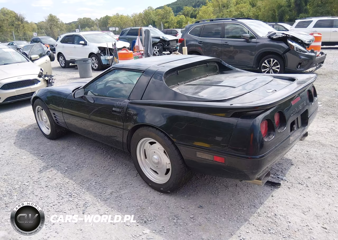 1992 Chevrolet Corvette VIN:1G1YY23P5N5118175 - 3