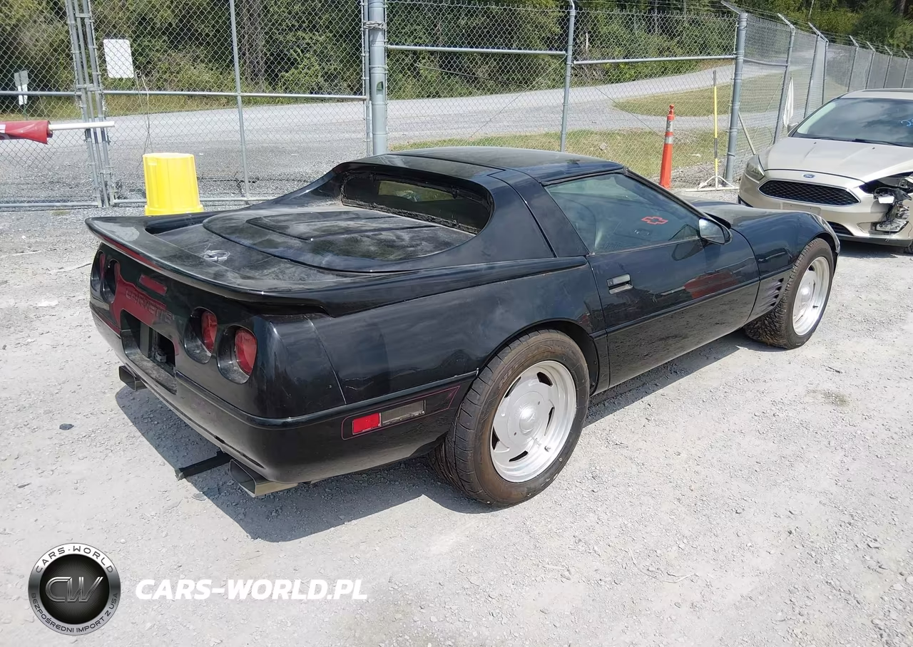 1992 Chevrolet Corvette VIN:1G1YY23P5N5118175 - 4