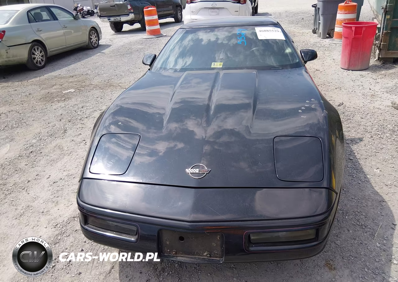 1992 Chevrolet Corvette VIN:1G1YY23P5N5118175 - 6