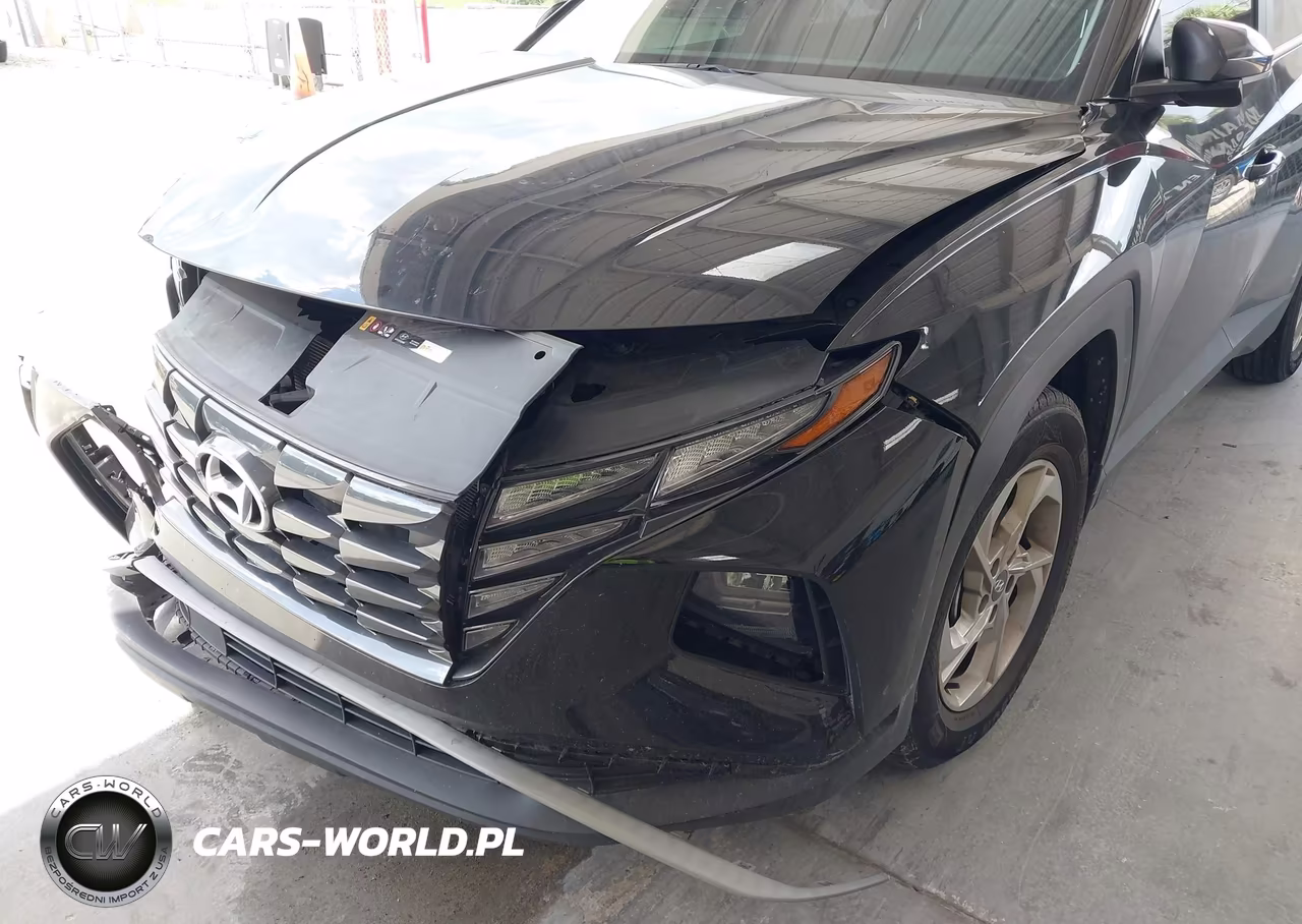 2024 Hyundai Tucson Sel VIN:KM8JB3DE2RU334182 - 6