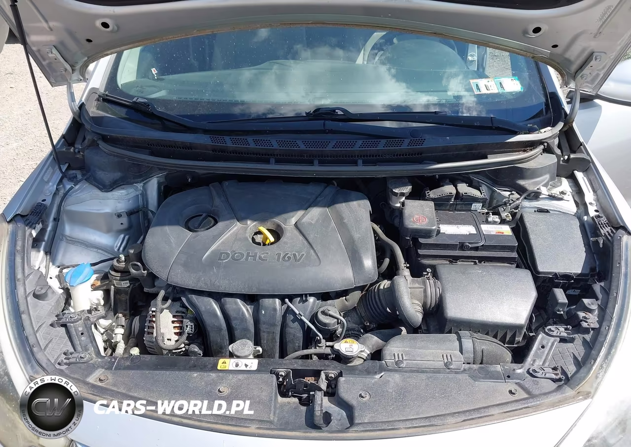 2015 Kia Forte Lx VIN:KNAFK4A68F5344165 - 10