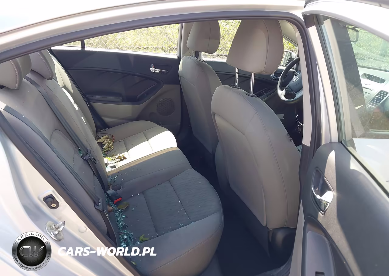 2015 Kia Forte Lx VIN:KNAFK4A68F5344165 - 8