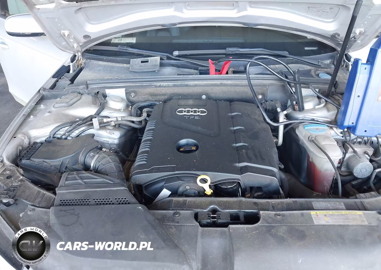 2011 Audi A4 2.0T Premium VIN:WAUBFAFLXBN019768 - 10