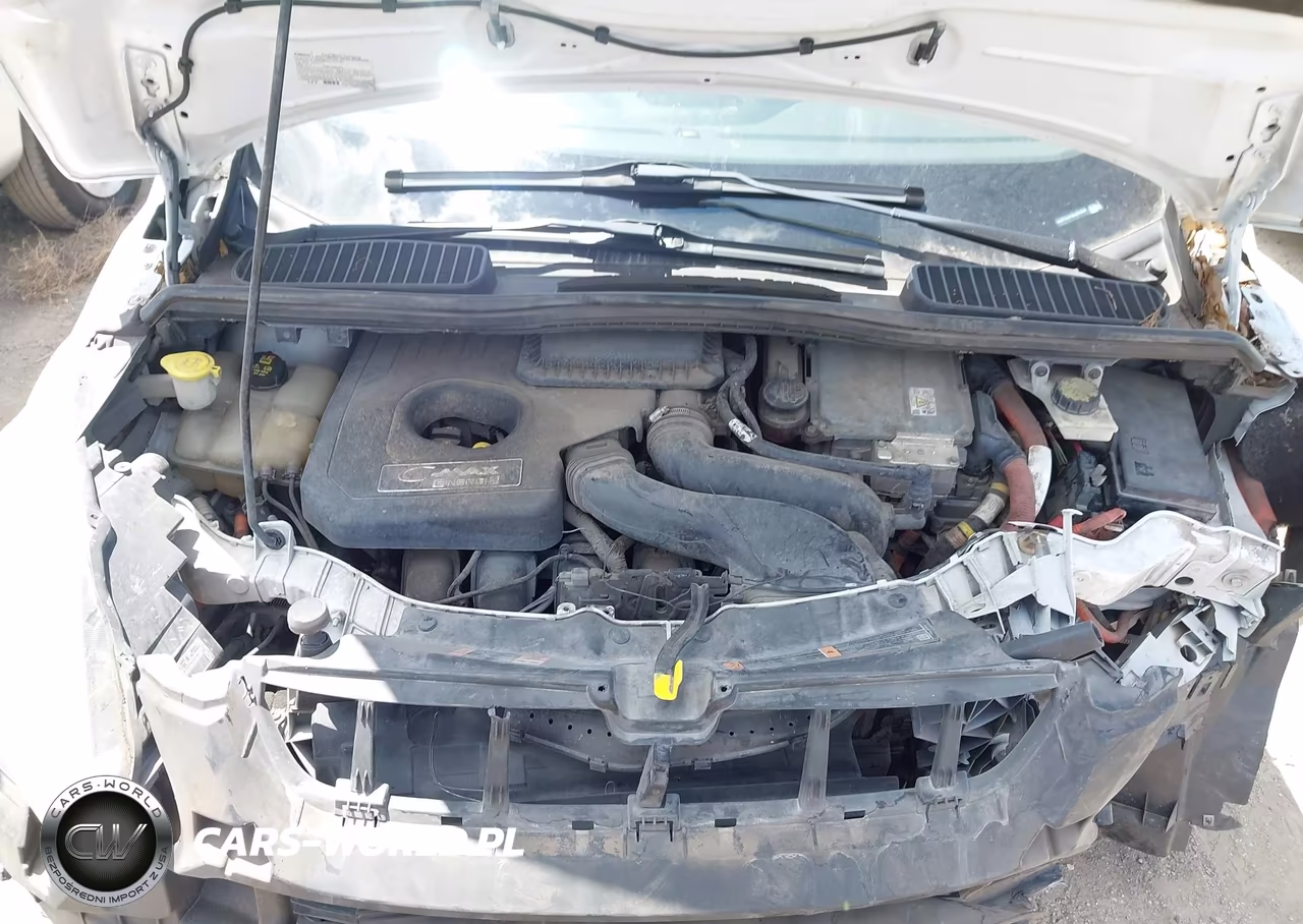 2014 Ford C-Max Energi Sel VIN:1FADP5CU1EL501628 - 10