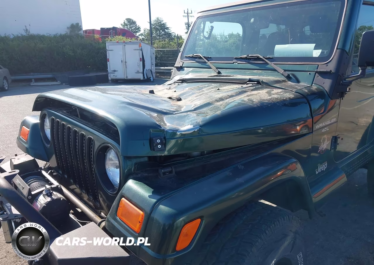 2000 Jeep Wrangler Sahara VIN:1J4FA59S3YP732032 - 6