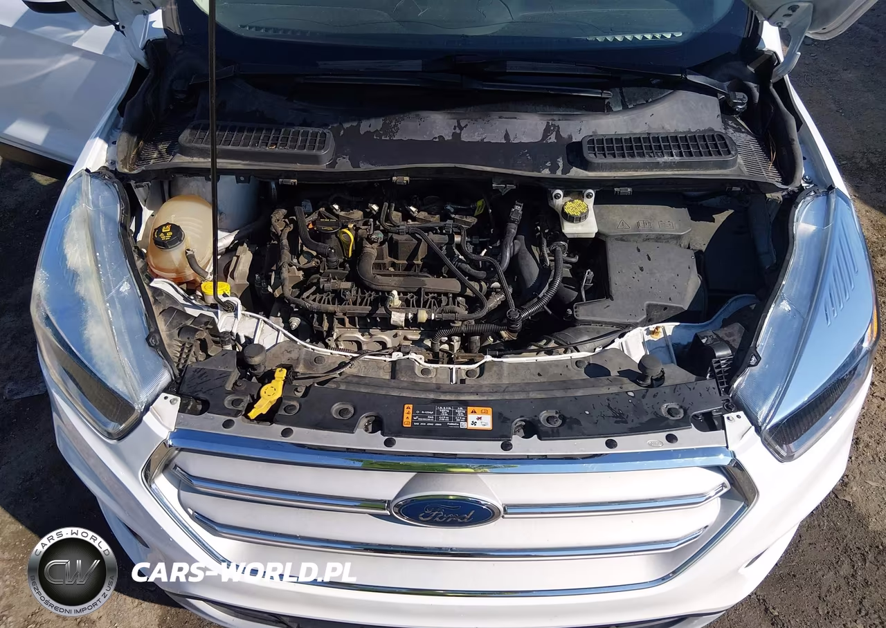 2019 Ford Escape Se VIN:1FMCU0GDXKUA30012 - 10