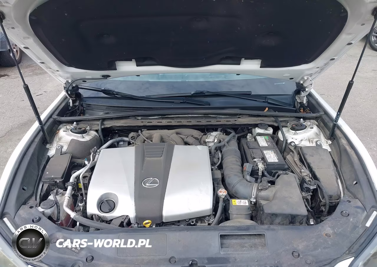 2019 Lexus Es 350 Luxury VIN:58ABZ1B19KU012402 - 10