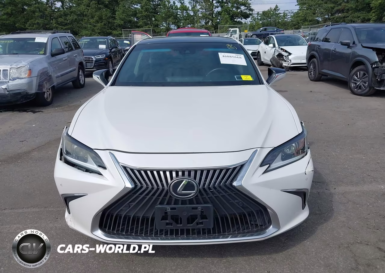 2019 Lexus Es 350 Luxury VIN:58ABZ1B19KU012402 - 12