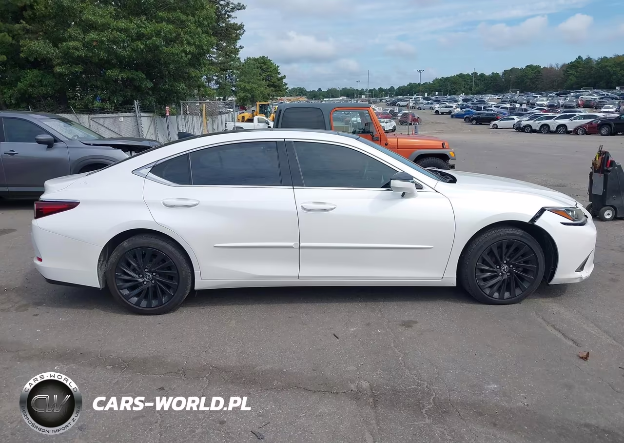 2019 Lexus Es 350 Luxury VIN:58ABZ1B19KU012402 - 13