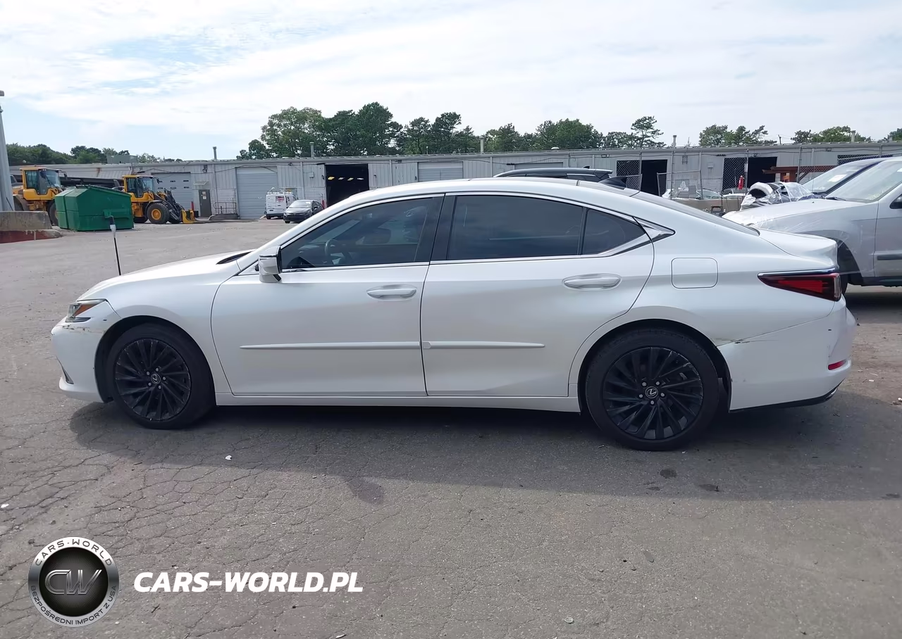 2019 Lexus Es 350 Luxury VIN:58ABZ1B19KU012402 - 14