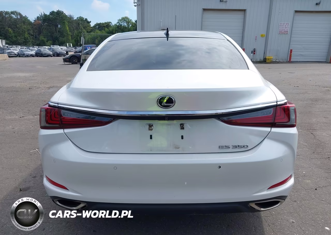 2019 Lexus Es 350 Luxury VIN:58ABZ1B19KU012402 - 16