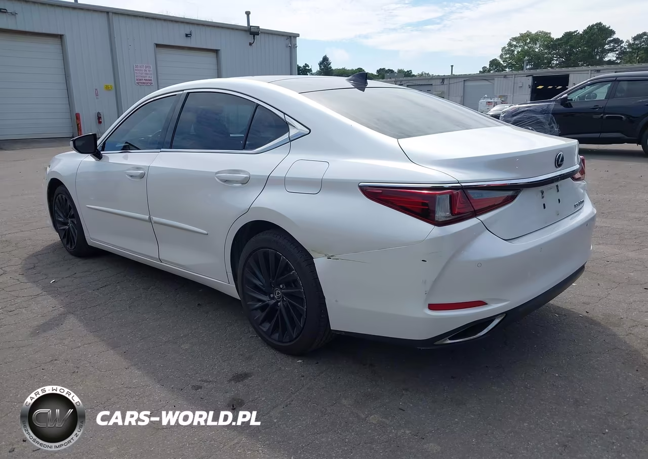 2019 Lexus Es 350 Luxury VIN:58ABZ1B19KU012402 - 3