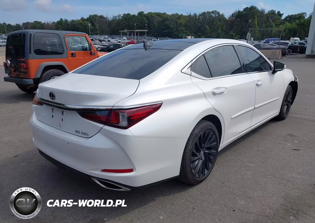 2019 Lexus Es 350 Luxury VIN:58ABZ1B19KU012402 - 4