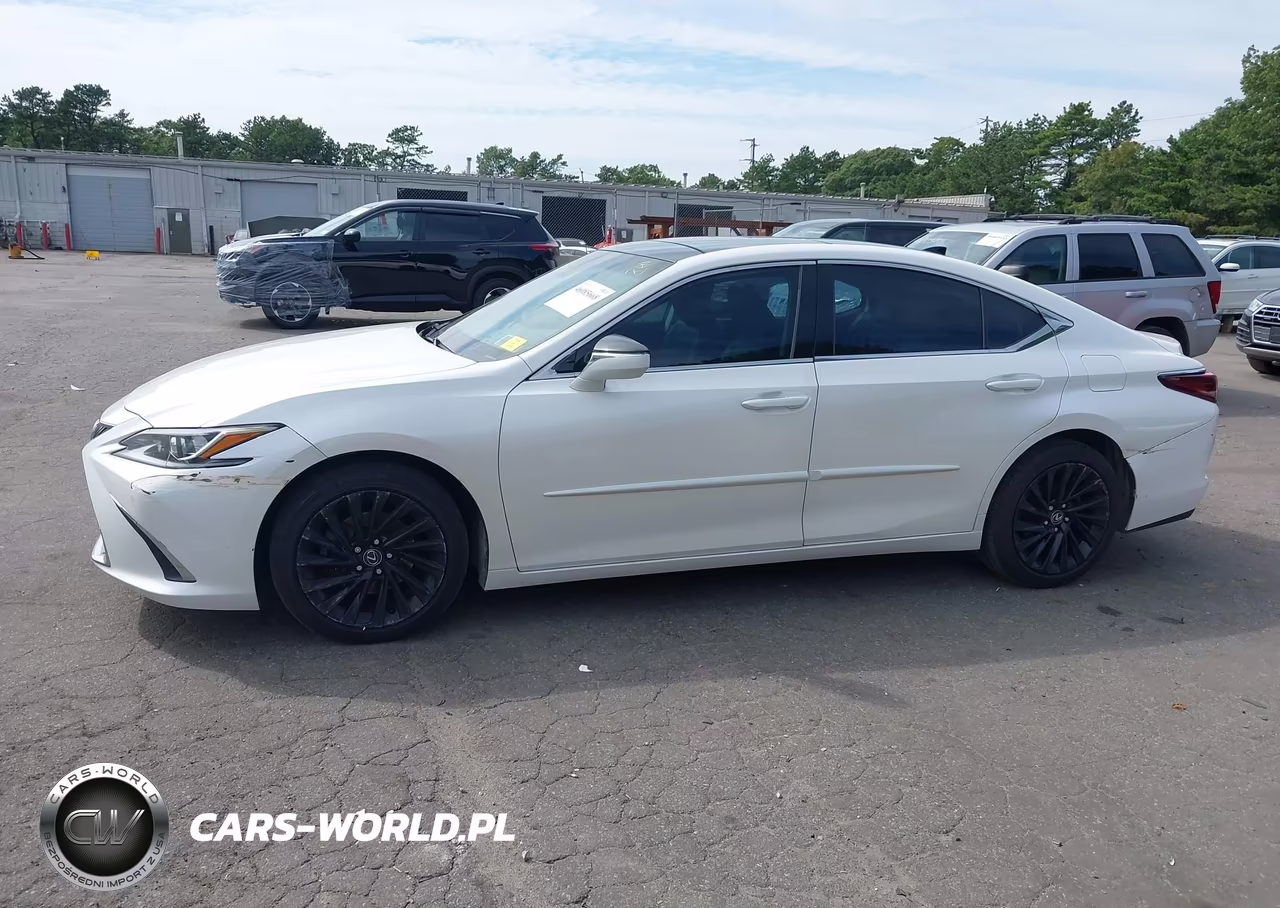 2019 Lexus Es 350 Luxury VIN:58ABZ1B19KU012402 - 6