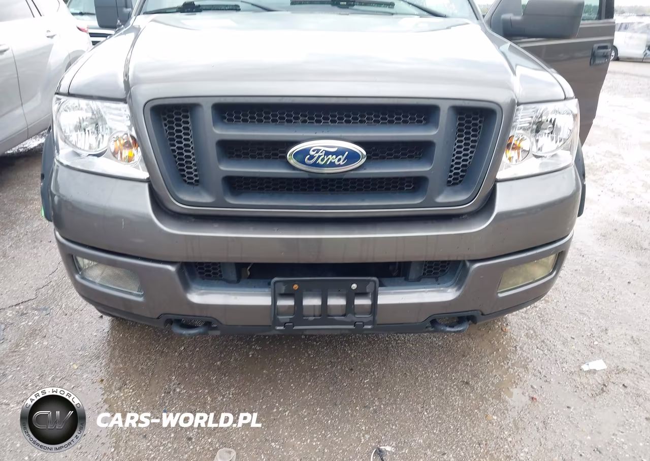 2004 Ford F-150 Fx4-Lariat-Xl-Xlt VIN:1FTPX14524KD93855 - 6