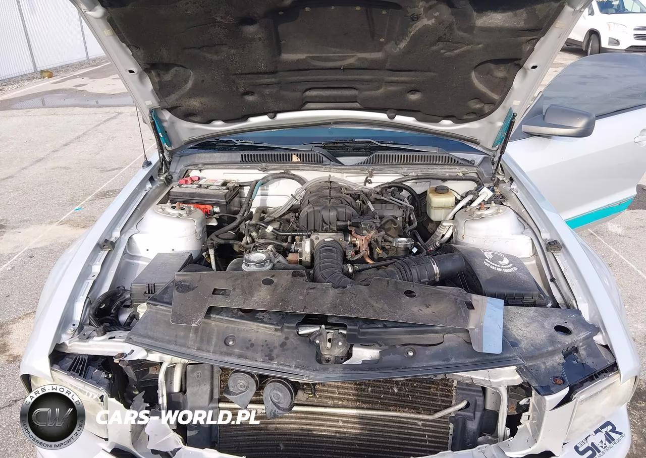 2007 Ford Mustang V6 Deluxe-V6 Premium VIN:1ZVFT80N375367688 - 10