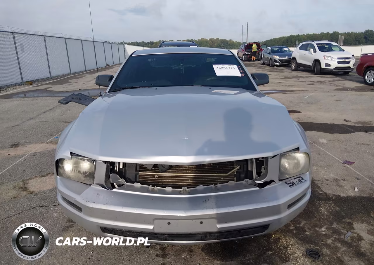 2007 Ford Mustang V6 Deluxe-V6 Premium VIN:1ZVFT80N375367688 - 12