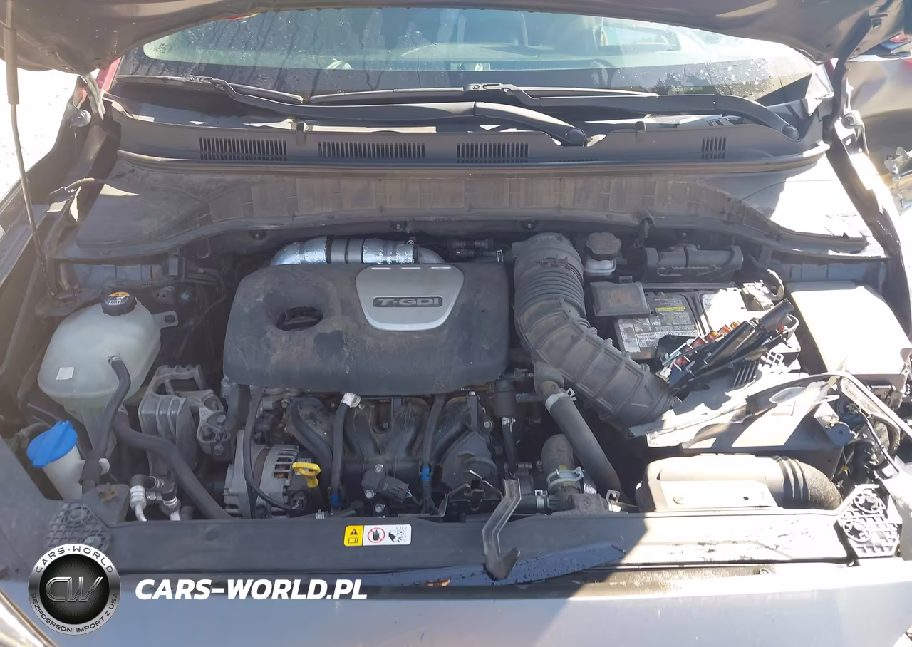 2019 Hyundai Kona Iron Man VIN:KM8K5CA52KU309997 - 10