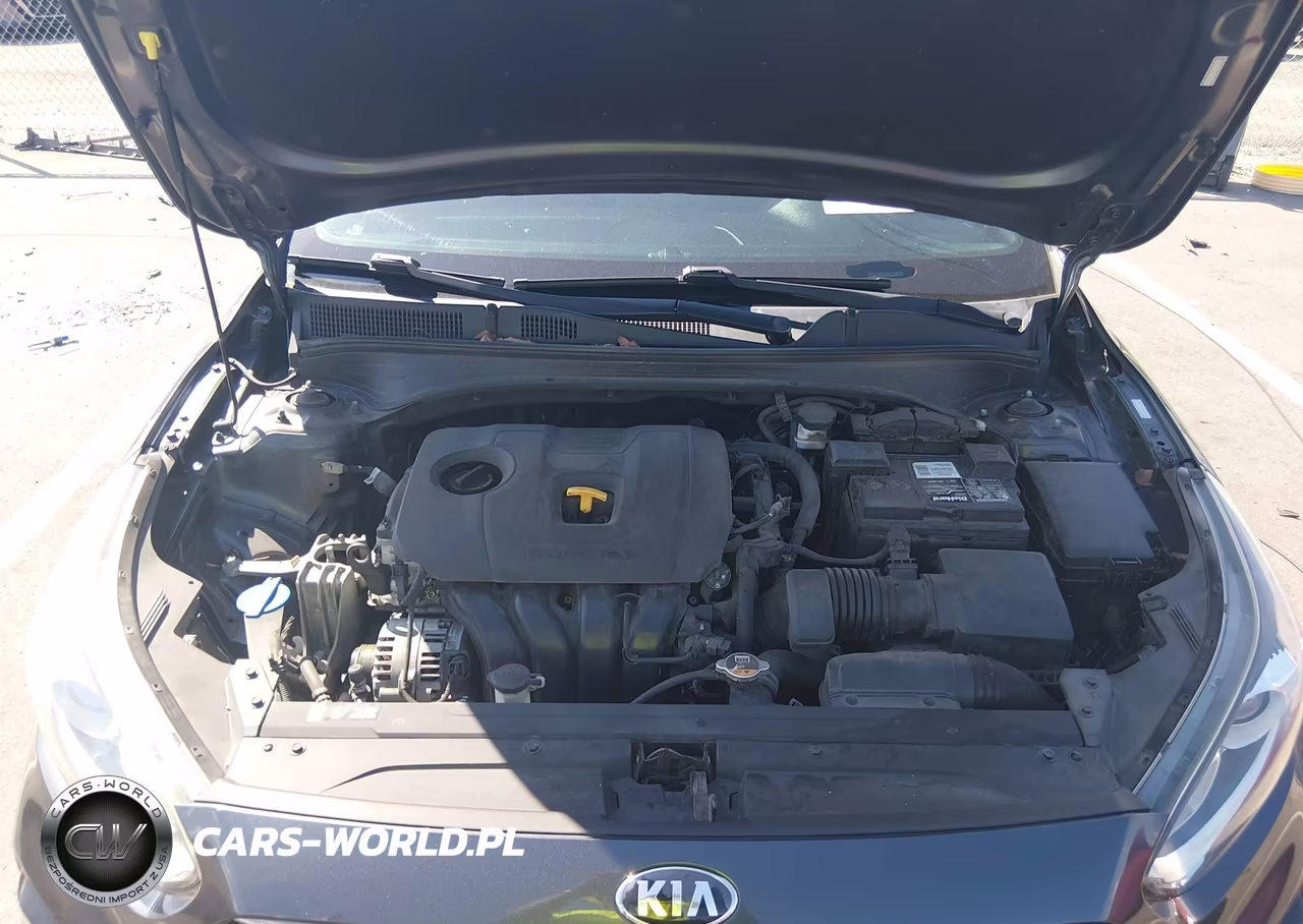 2020 Kia Forte Gt-Line VIN:3KPF34AD9LE175966 - 10