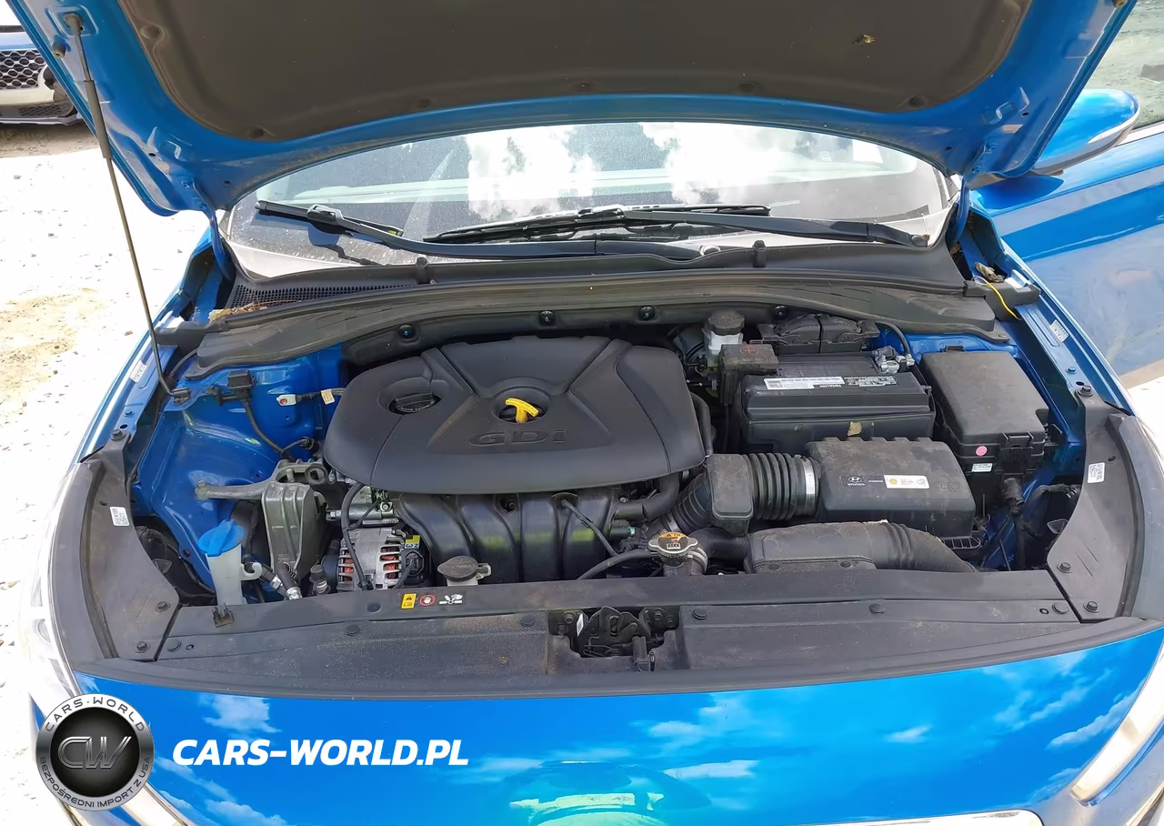 2018 Hyundai Elantra Gt VIN:KMHH35LEXJU024696 - 10