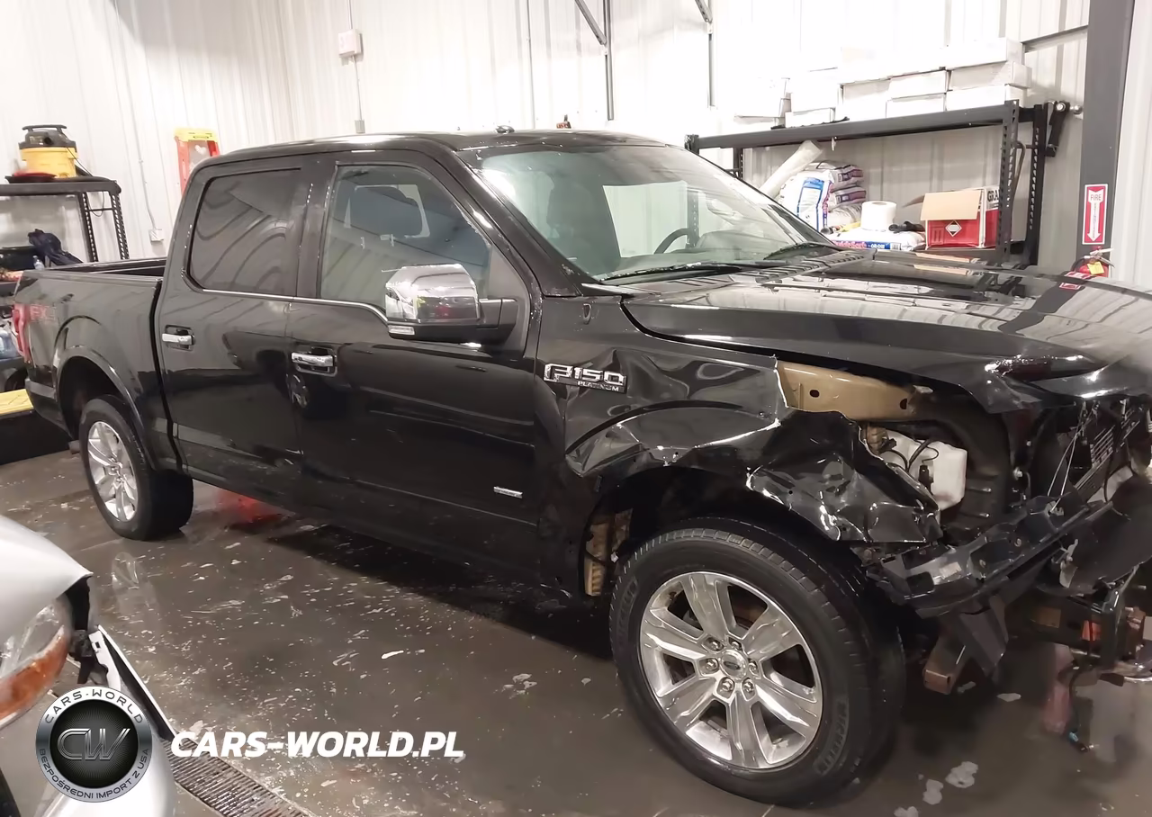 2015 Ford F-150 Platinum VIN:1FTEW1EG6FFA05144 - 14