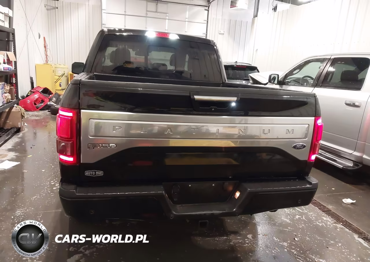 2015 Ford F-150 Platinum VIN:1FTEW1EG6FFA05144 - 17